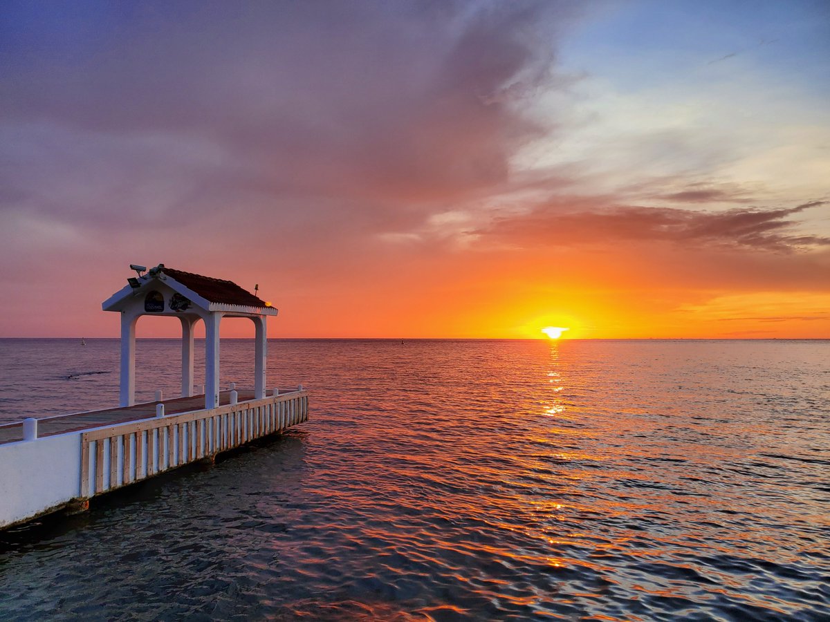 DiveParadise_Cozumel tweet media