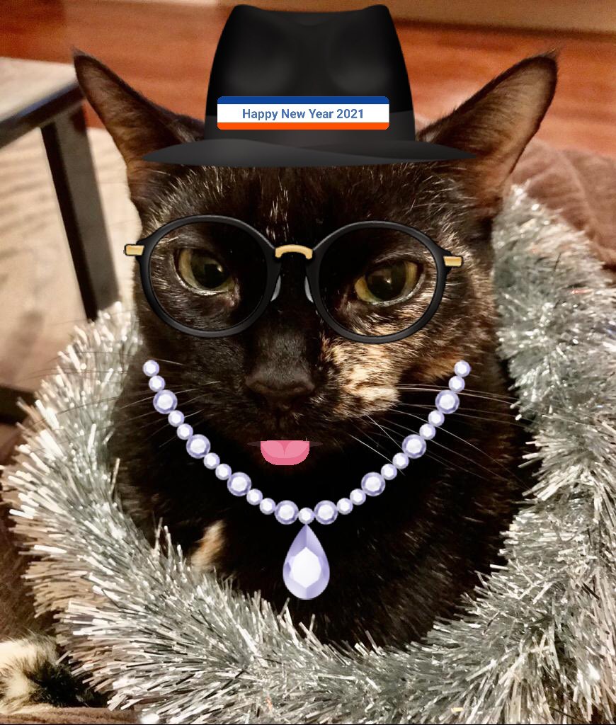 Happy New Year to all my pals 
#CatsOfTwitter apologies for the photo. Someone’s idea of funny!