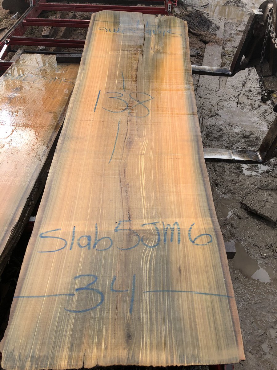 Slicing up a few beautiful sinker cypress slabs today!  #logging  #swamplogging #rivertable #cypress #sinkercypress #sawmill #liveedge #liveedgewood #liveedgetable #liveedgeslab #liveedgefurniture #wood #woodworking #woodshop #carpentry #tablescapes #tablesetting #entrepreneur