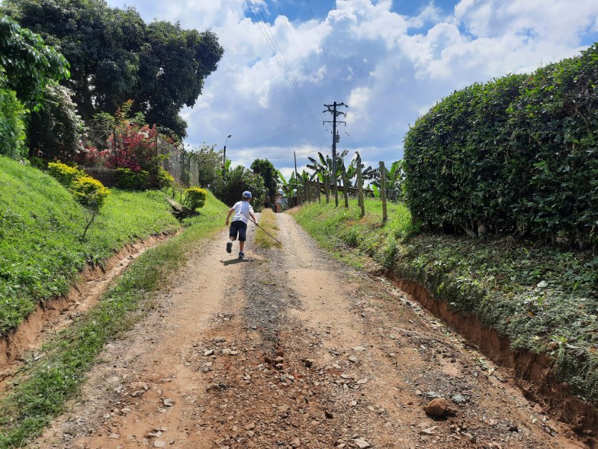 Ivan Briscoe tweet media