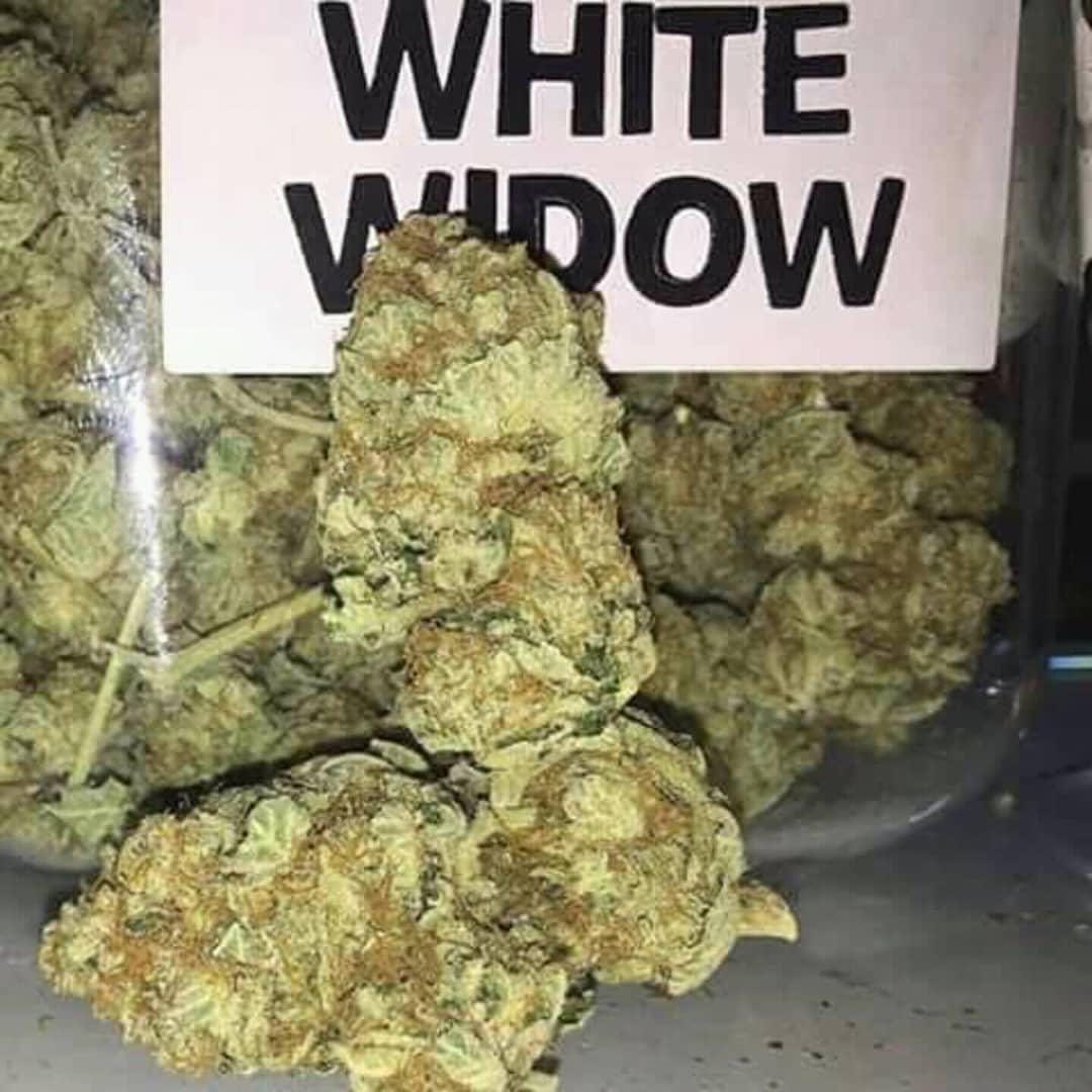 Weed420.UK tweet media