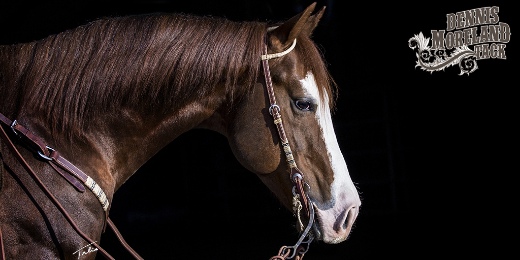 DmtackT's tweet photo. Get ready to show with this beautiful handmade Slide Ear Headstall with Rawhide &amp; Black Interweave https://t.co/2AOaIHwV2T! It's on sale for $237.99 through January &amp; it's tough enough for ranch work too. Check out the matching breast collar here: https://t.co/kMoeLXyH4e https://t.co/kiYvcNV21c