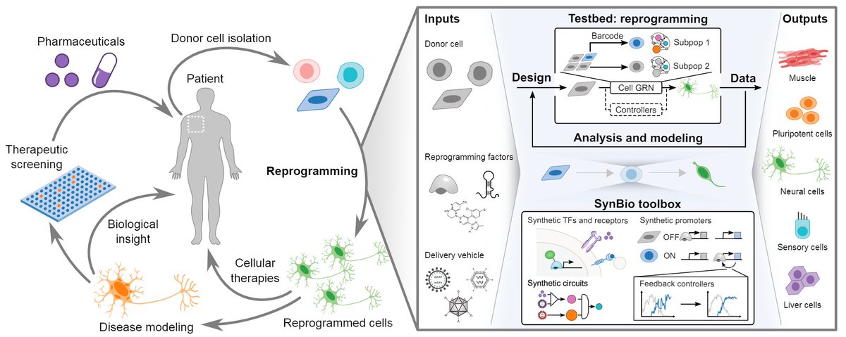 Katie Galloway tweet media