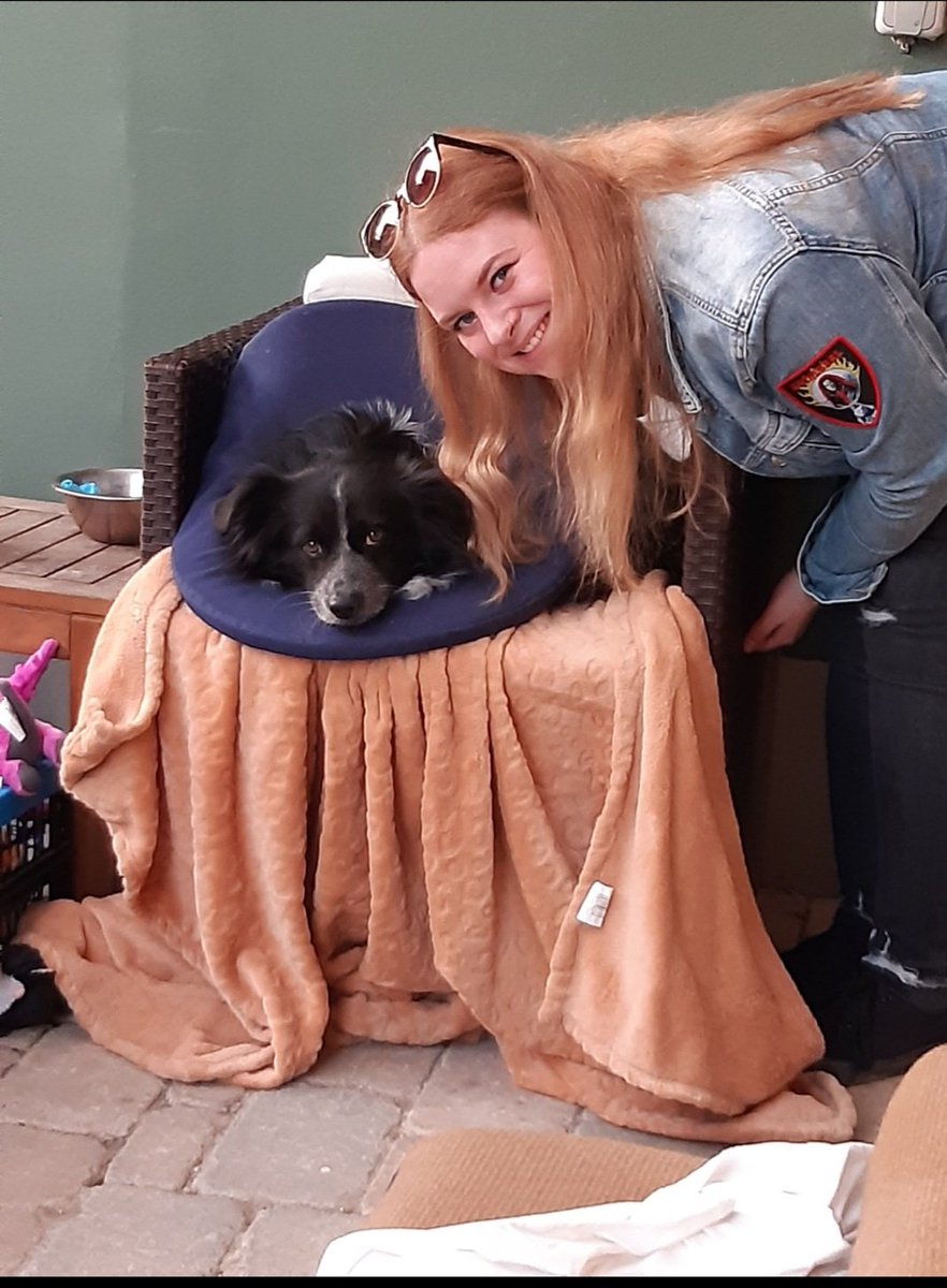 Bobby was attacked by 3 large dogs and we thought our world had ended. Local - and Twitter - friends came to our rescue though. Can't thank you all enough for the support