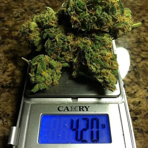 Weed420.UK tweet media