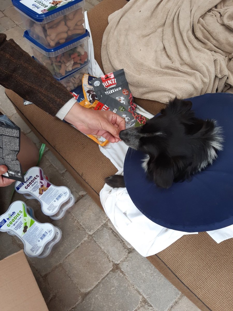 Bobby was attacked by 3 large dogs and we thought our world had ended. Local - and Twitter - friends came to our rescue though. Can't thank you all enough for the support