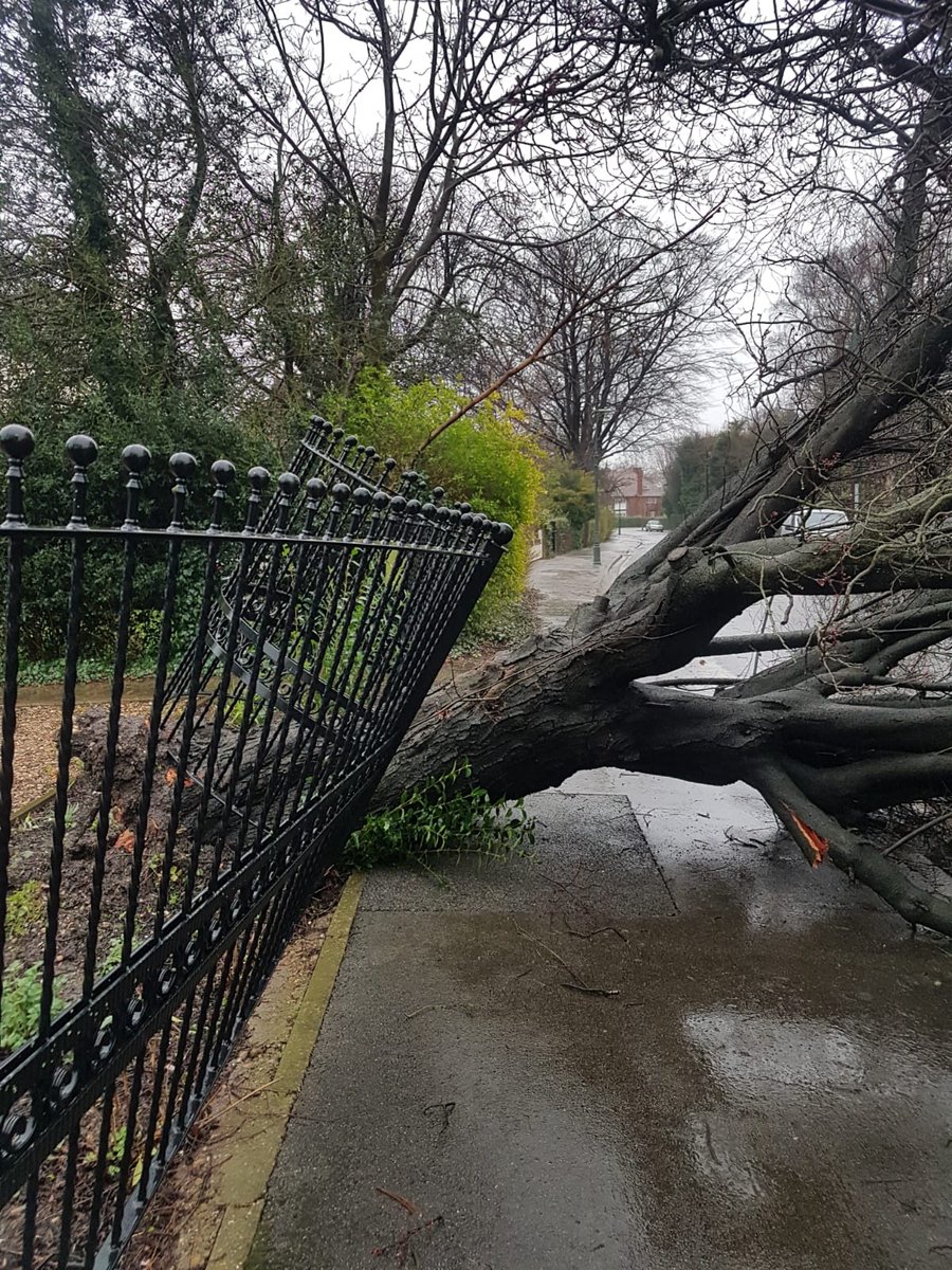 February: Bit of a wet and windy one, as I recall.