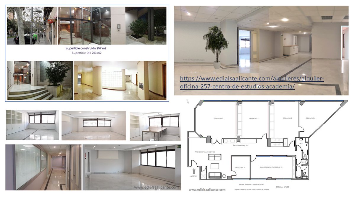 edialsa's tweet image. Por fin Año Nuevo... Estrena Oficina en el centro de Alicante, edificio representativo 🏢ubicación privilegiada, excelentes comunicaciones, paseos ajardinados 🌴 junto al Puerto de Alicante⛵️facilidad de aparcamiento, carril bici 🚲 en Alicante, España, junto al Mar🌞 @edialsa