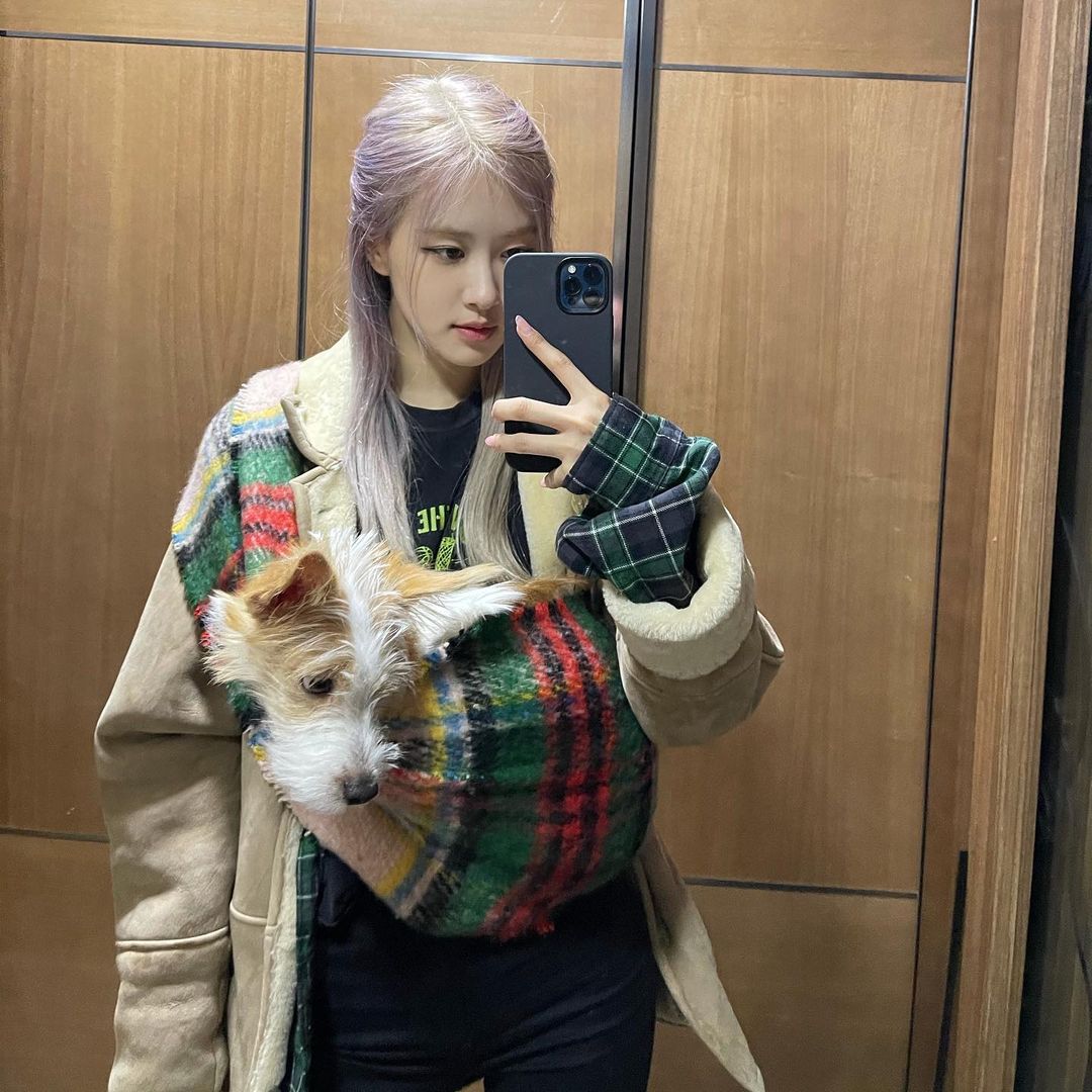 Hank_Say__Hank's tweet photo. 2021년도에는 더 행복하자 울애기 🐛🍼

#HANK #행꾸
@Hank_Say__Hank https://t.co/i99RCvjOjO