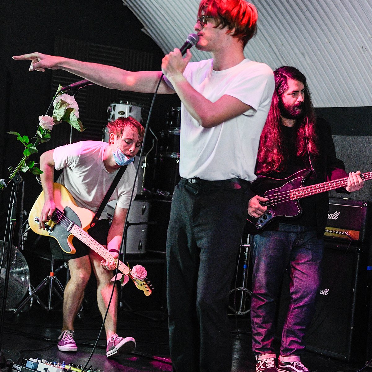 goldenbloom tweet media