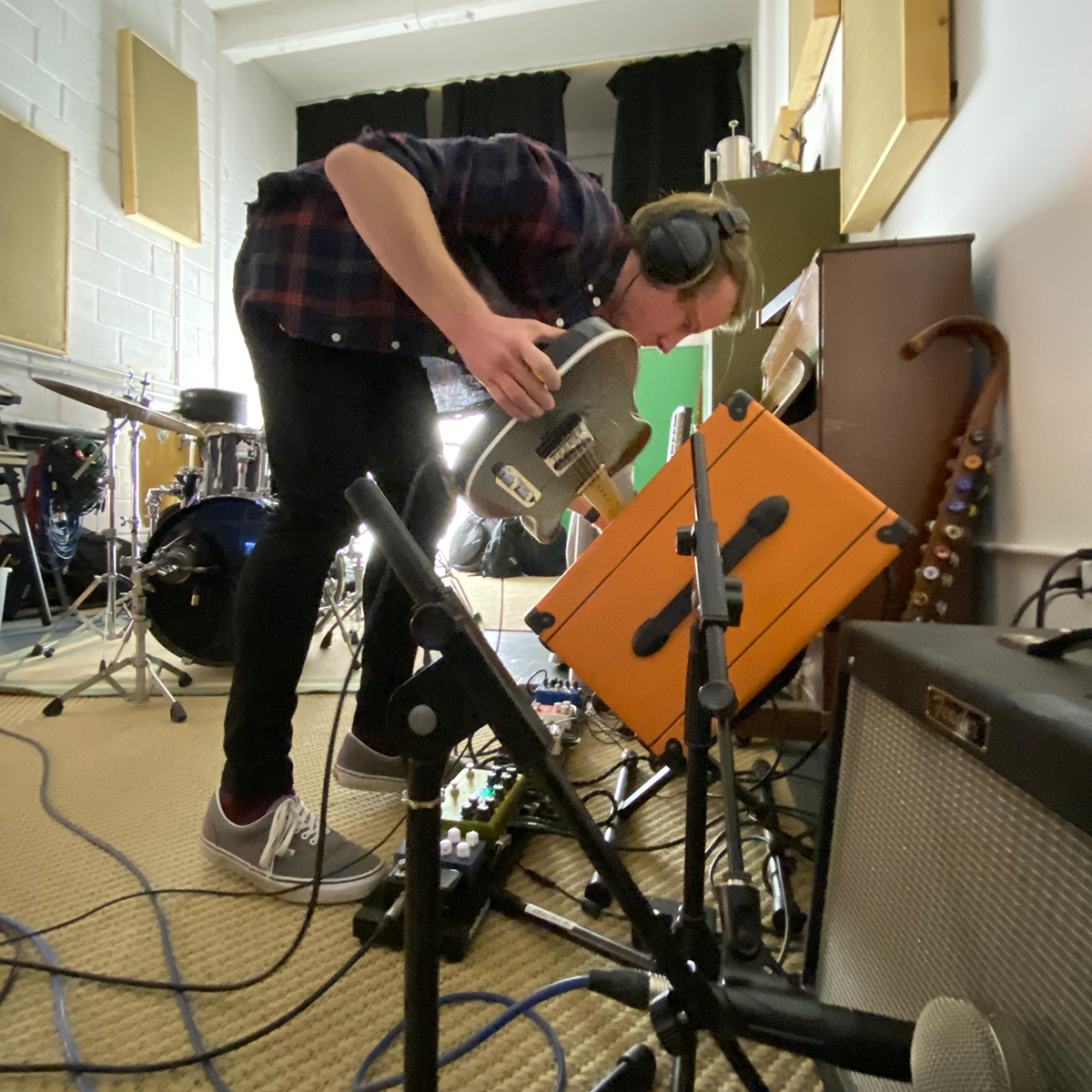 goldenbloom tweet media