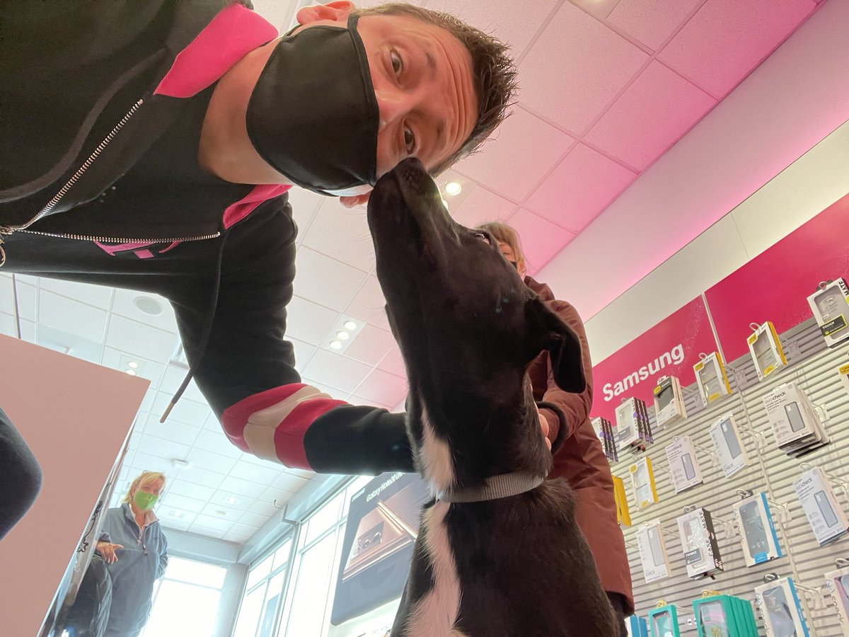 BlueShirtAllDay's tweet photo. #Newyear + #newcustomers = #Happycustomers @TMobile @MikeSievert @JonFreier @SamSindha @daneandreasen @jessica_esty @TChainzDC @ima_dunbar0519 @w_t_denk #dogsoftmobile #byeverizon #firstandfast #midwestthing #GoodBye2020 https://t.co/NpCvkolBB0