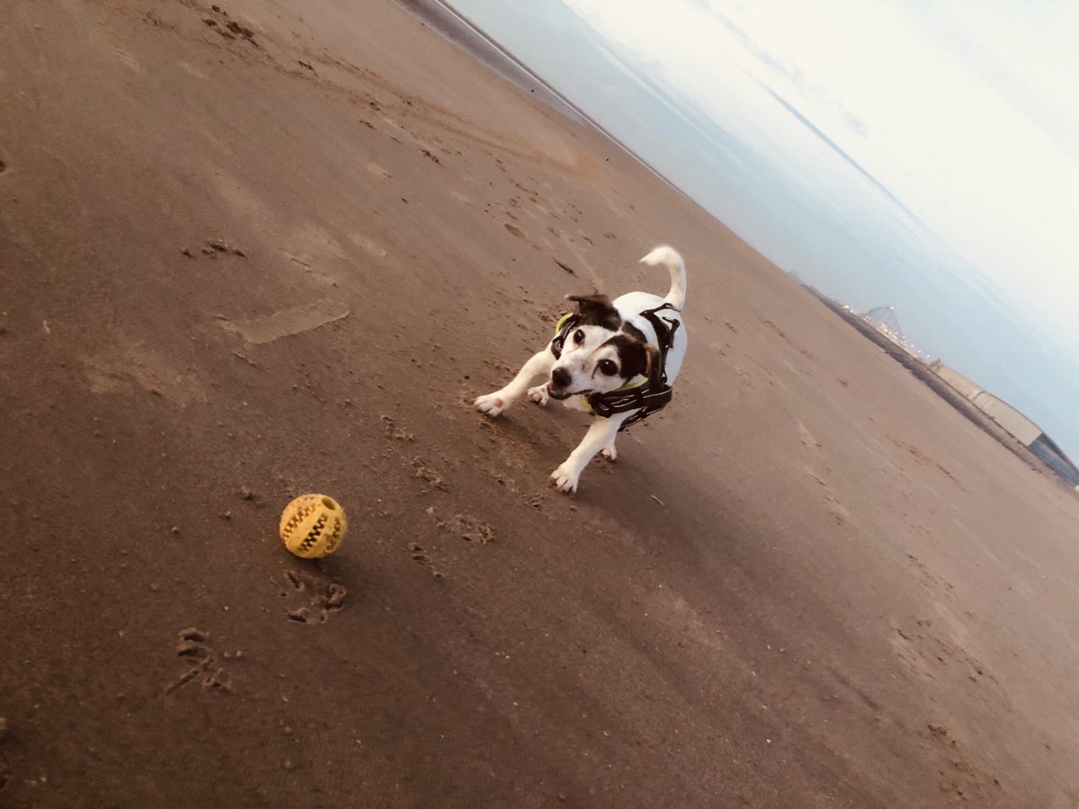 janpearson's tweet photo. Happy New Year 🍾🥂🎉🎉🎉
Here’s hoping for a much better 2021 when we can choose to be together whenever we want and do the things we all love. 
P.S. The dogs have had an amazing year and never seen so much of us 🤣🤣🤣 so they might not let us out!!! https://t.co/StHUBFVfWZ