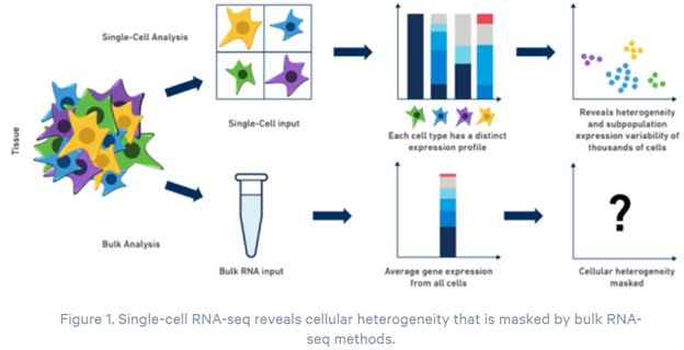 Previously, the only way to measure gene expression was to analyze the information from thousands or millions of cells at a time, resulting in an average measurement across all cells. This hides important cell-to-cell information.  https://www.10xgenomics.com/blog/single-cell-rna-seq-an-introductory-overview-and-tools-for-getting-started