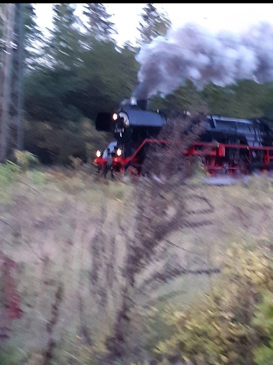 A steam train/Dampflok stopped at Camburg Bahnhof and I finally managed to get some photos!...then it broke down for a while.