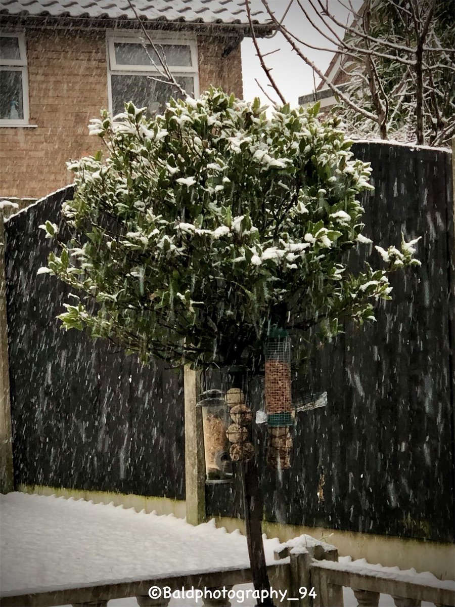 JCPhotos94's tweet photo. Last snow day photo! ❄️•
•
Taken on - iPhone X
•
#photo #photography #photooftheday #likes #likesforlike #newpost #2020winter #GoodBye2020 https://t.co/vhX7zTrxkI