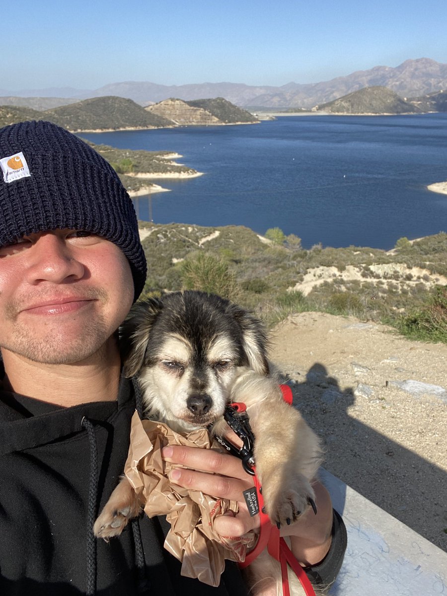 ctharchivs's tweet image. 2020 calum hood.