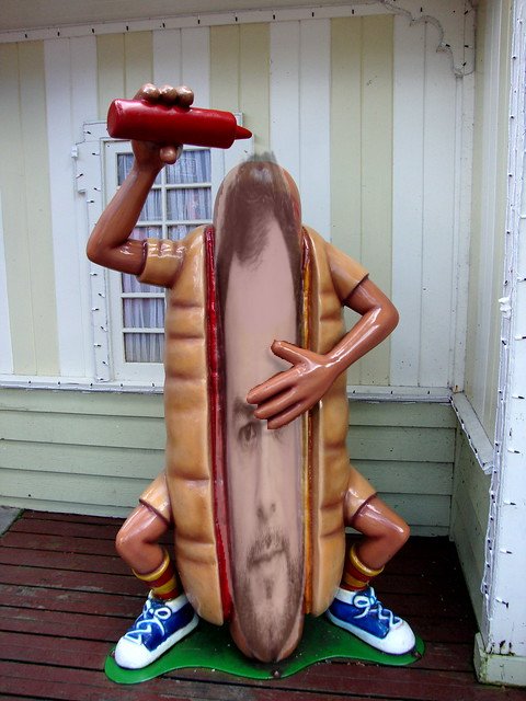 A hot Brendog.