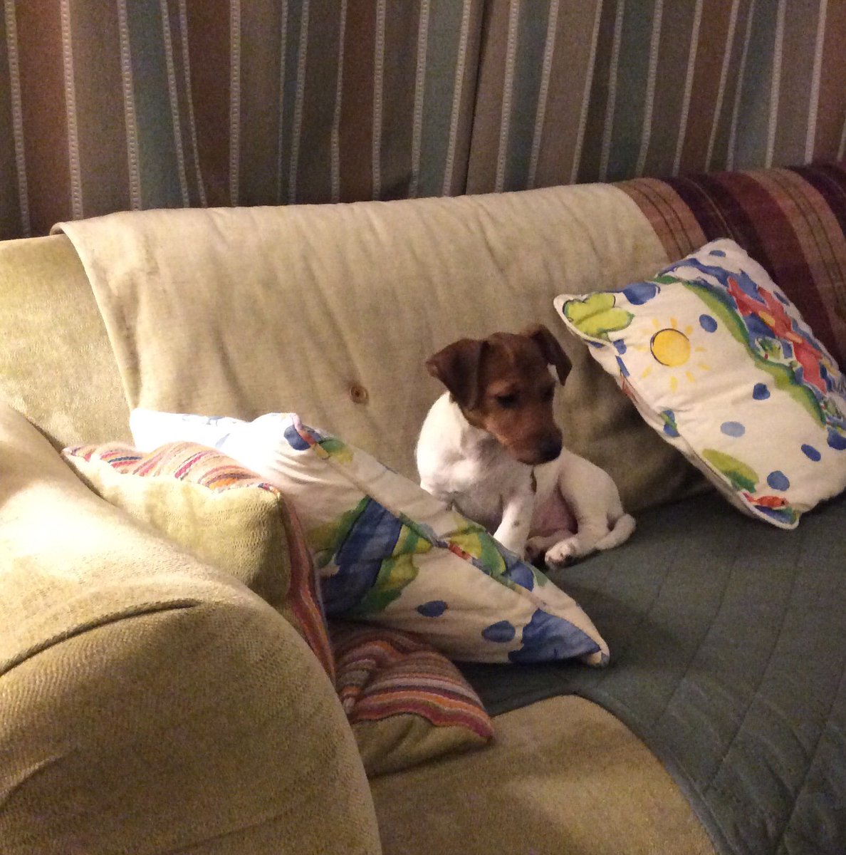 Wishing all my lovely clients a very happy New Year.  I look forward to speaking to you early in January and hope that we will soon be in a position to plan your ceremony.