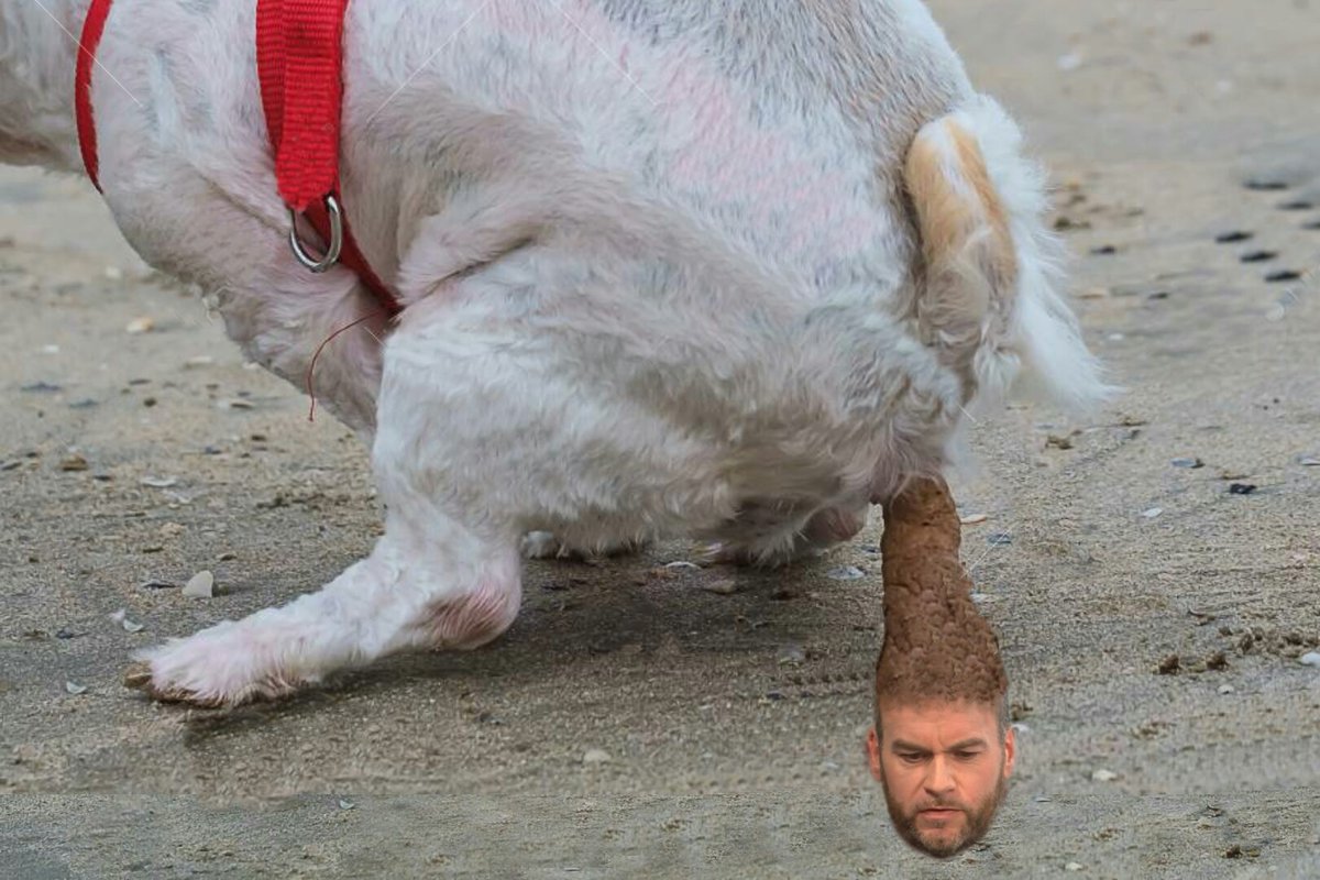 Another Brendan poop. Lol.