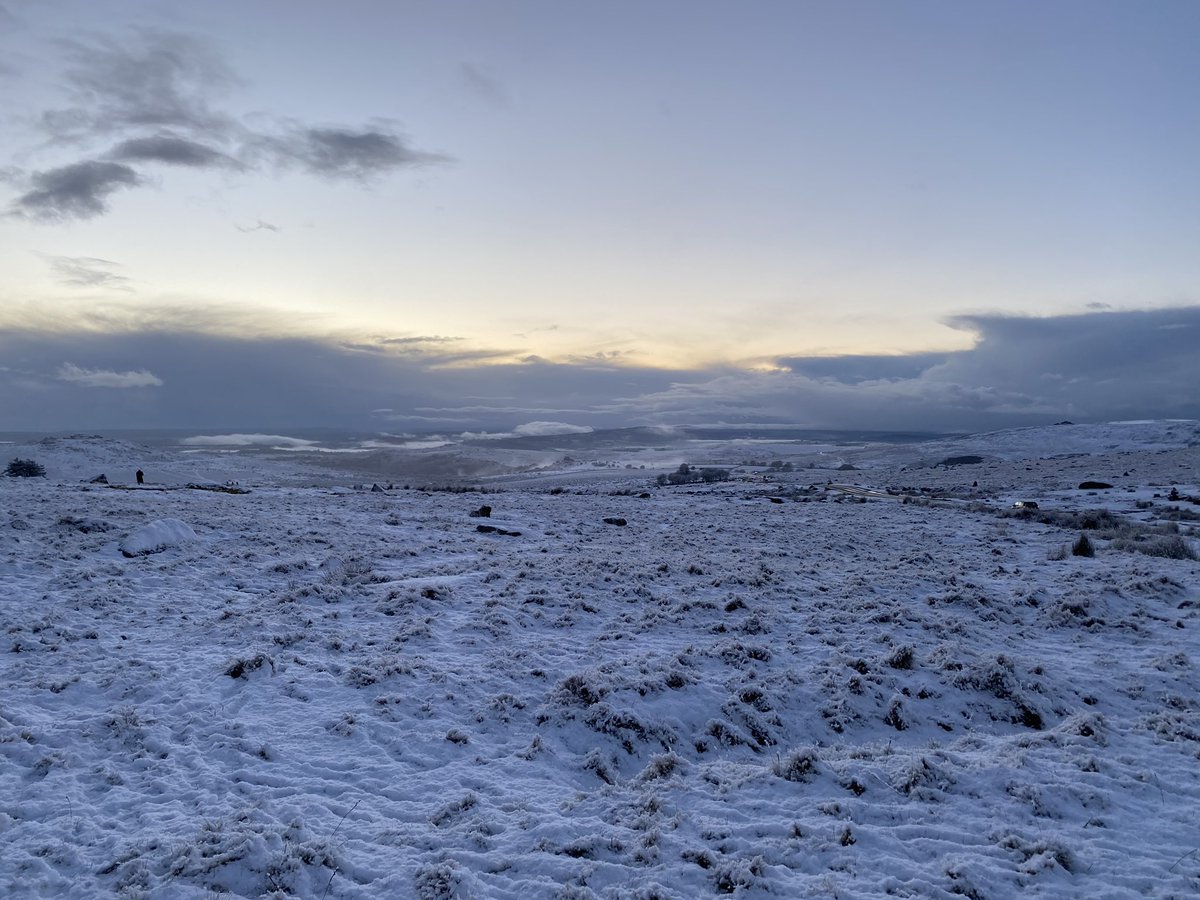 Some snaps from #Princetown today ❄️ and a little treat for the ponies 🥕🐴

#Dartmoor #Snow #Winter