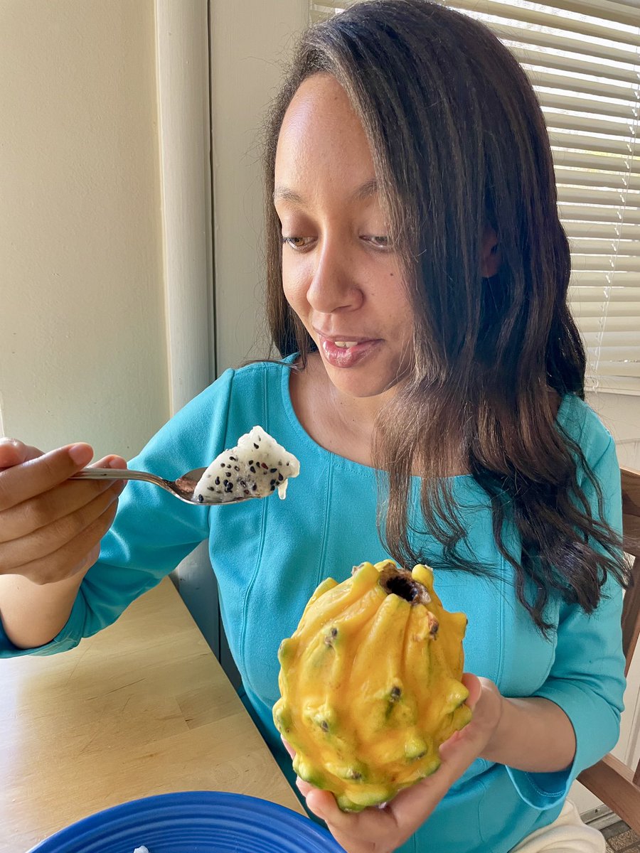 The tastiest fruit is fresh beles in  #Eritrea, right after a summer rain. Beles came from the Americas, but the ones in California taste completely different from those in Eritrea. Nothing comes close to the magic of beles, except...yellow  #DragonFruit! A thread.