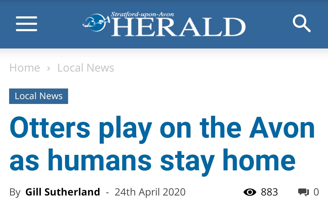 It's true that we enjoyed the hoomans being housebound.