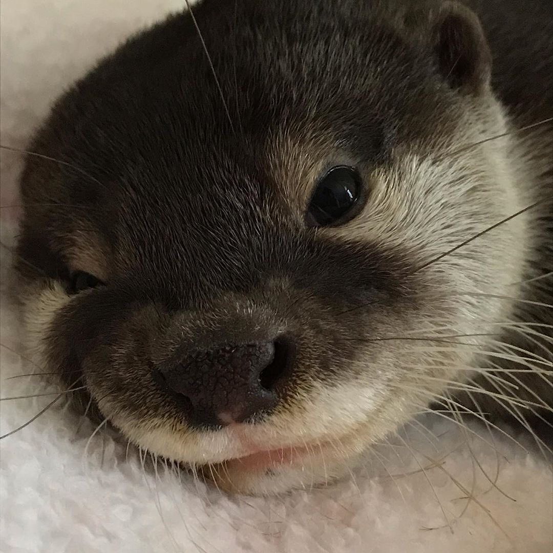 2020 recap thread (part 1)Not in chronological order because I habs feesh to eat.