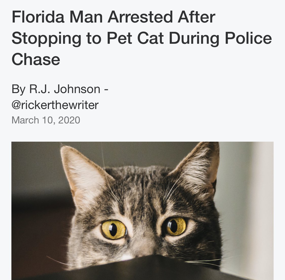 We found out how much Florida Man lubs cats.