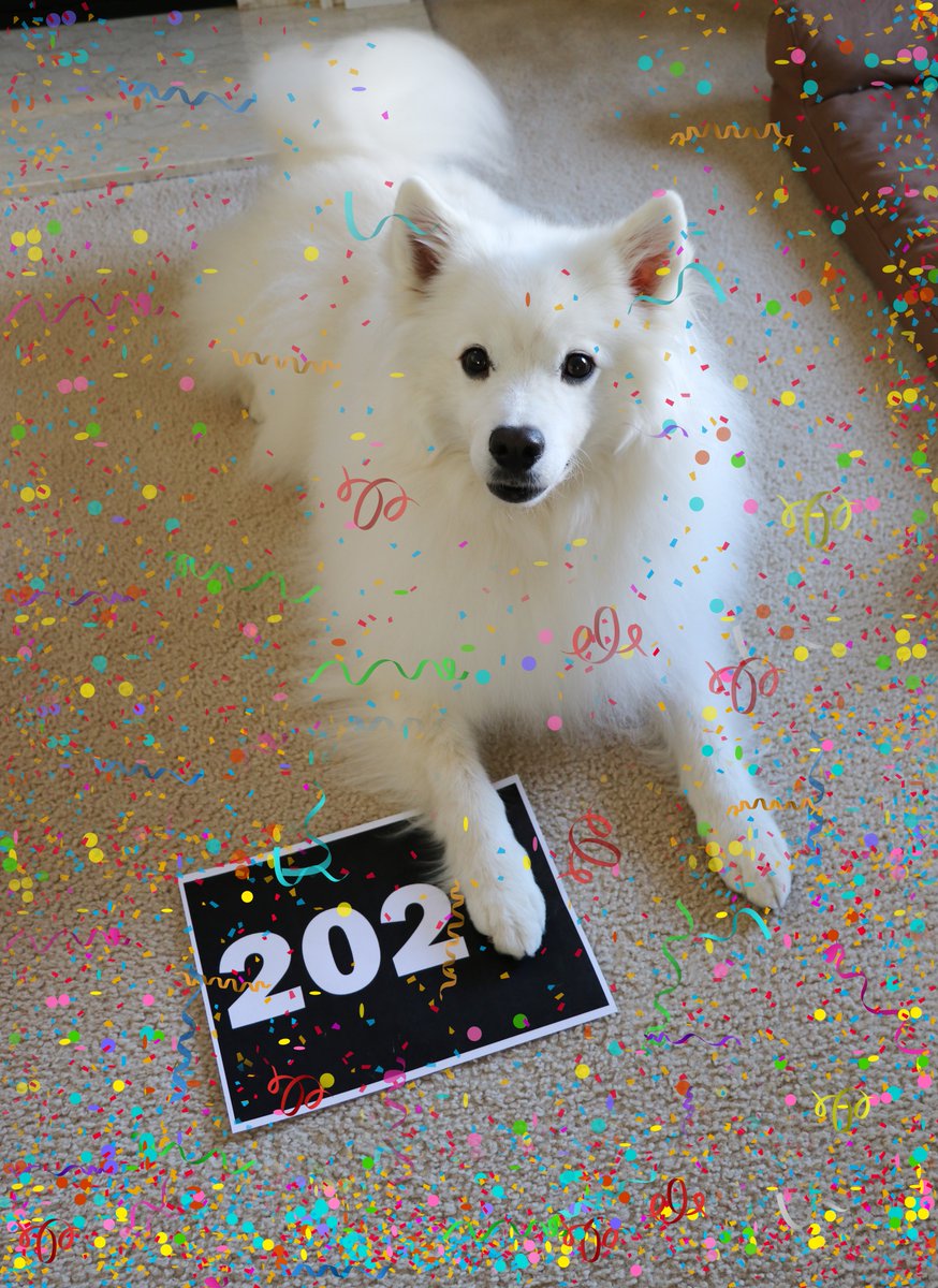 If I have my... paw... in what happens in 2021, should you all be afraid? Be v-e-r-y afraid?

Nah..... I'm a good boy! 21% of the time.