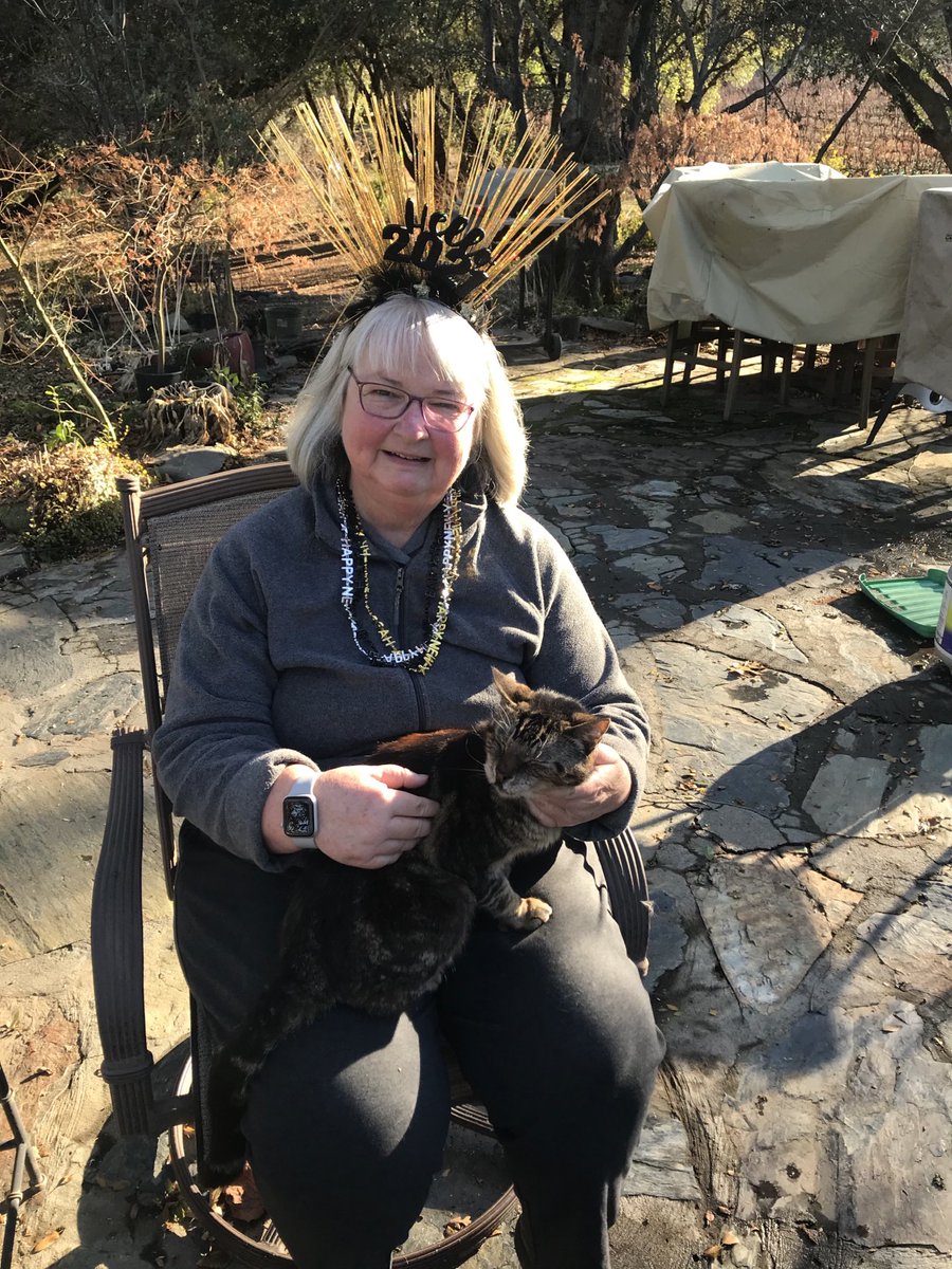 kshall12's tweet photo. Happy New Year’s!
Even my cat, Sherman is happy to ring in the new year. https://t.co/Iqan0XqgZE