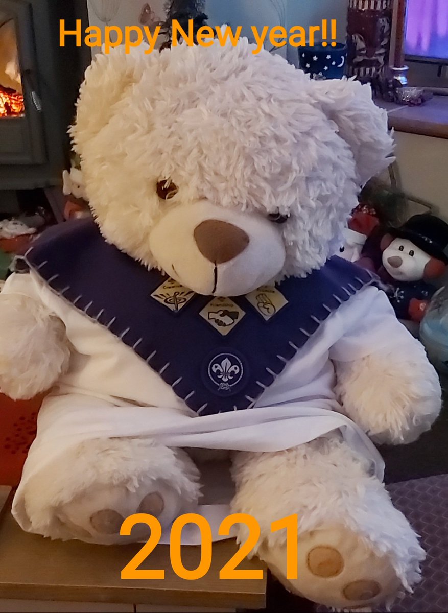 Boola's adventures tweet media