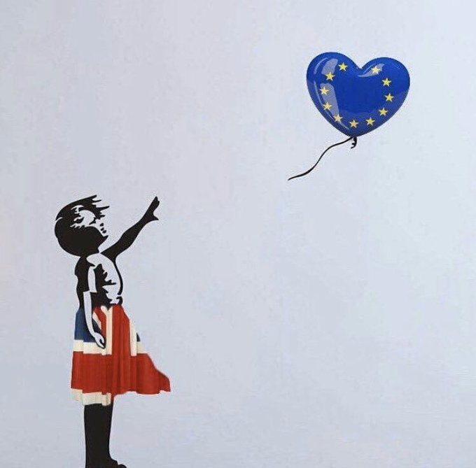 Onesie Woman 💙 🇪🇺 #FBPE #ProEU #FBPA #BLM tweet media