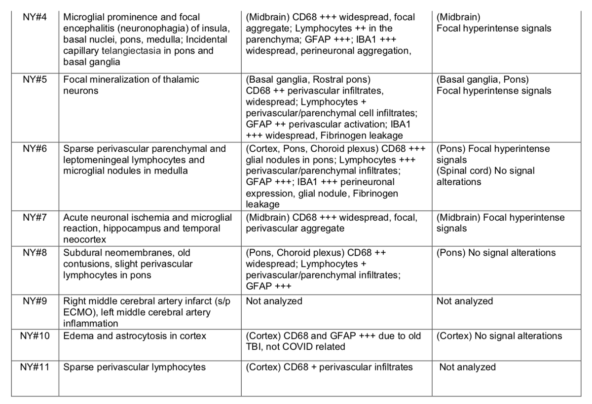 11/ 5 = Activated microglia were found adjacent to neurons, suggestive of neuronophagia in the olfactory bulb, substantia nigra, dorsal motor nucleus of the vagal nerve and the Pre-Botzinger complex in the medulla #COVID19  #coronavirus  #MedTwitter  #NurseTwitter