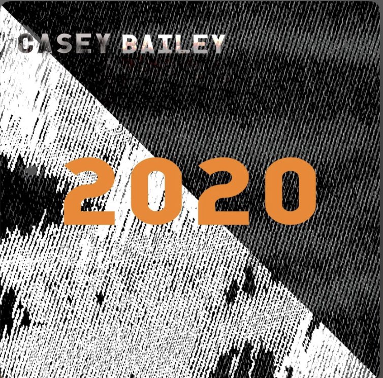 December: I dropped my final song of the year, 2020.Also...  @ace_national agreed to support my theatre writing next year.