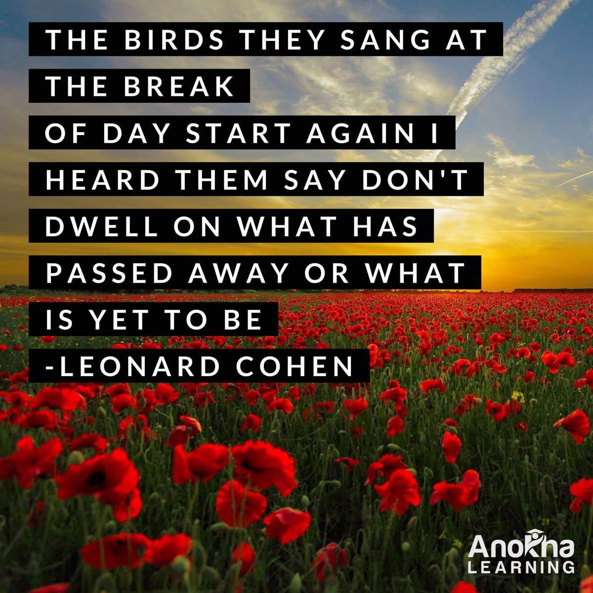 Anokha Learning tweet media