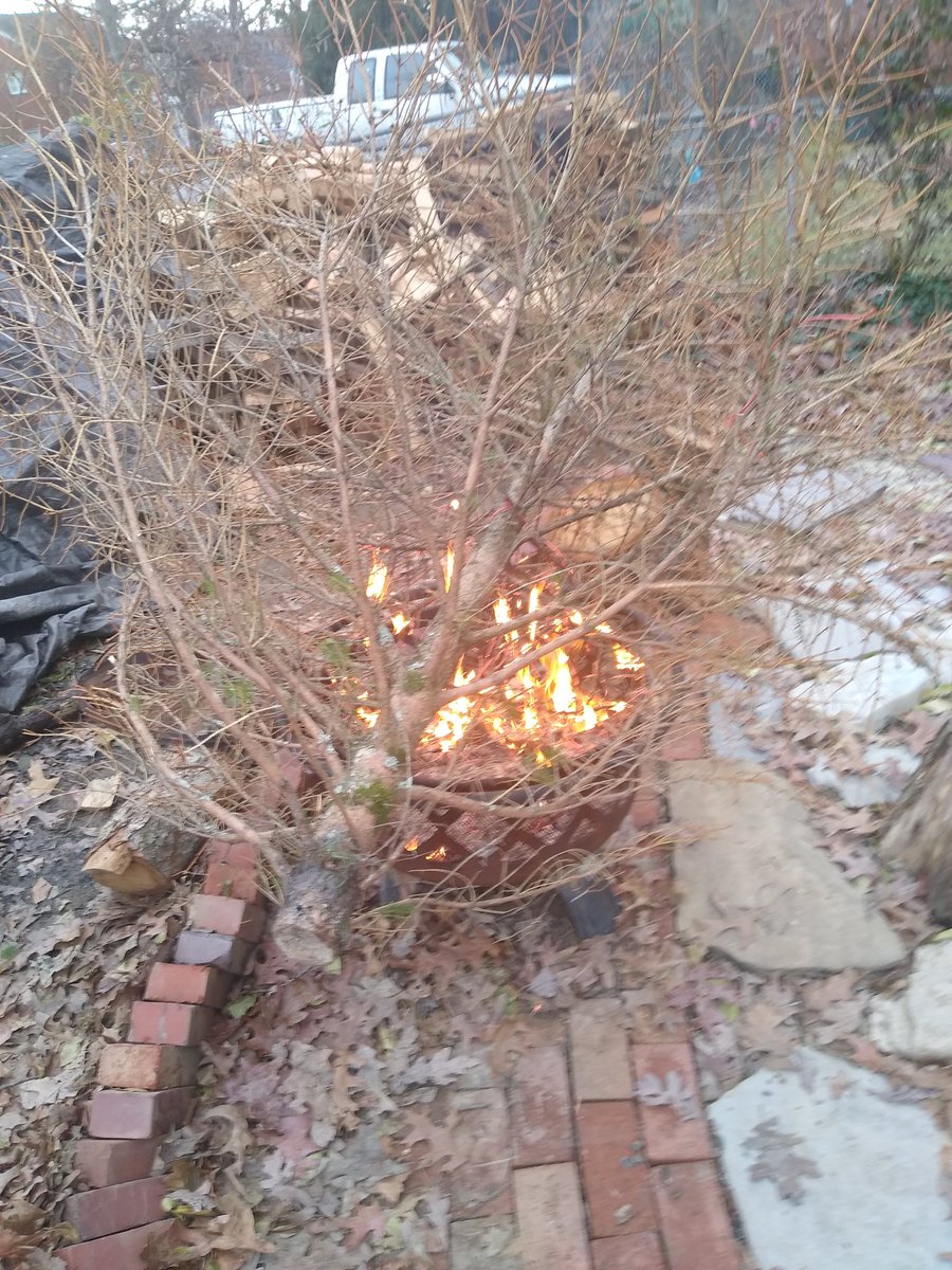 Oastem's tweet photo. Burn, baby, burn.

#2020 https://t.co/8YcGSEyDKb