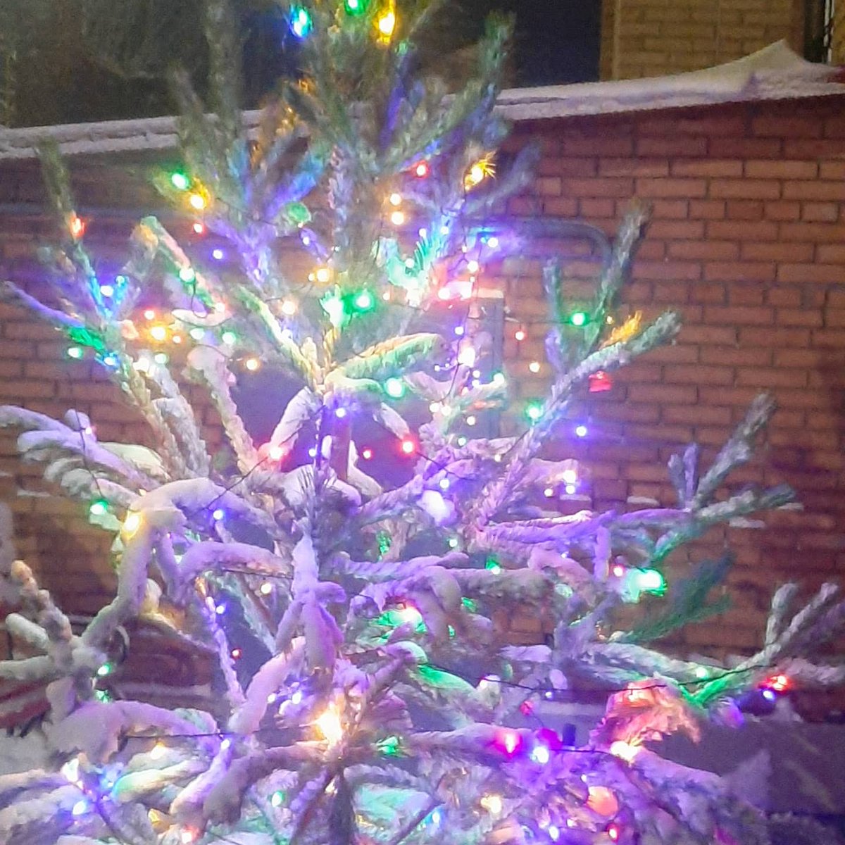 Дмитрий Сыродеев tweet media