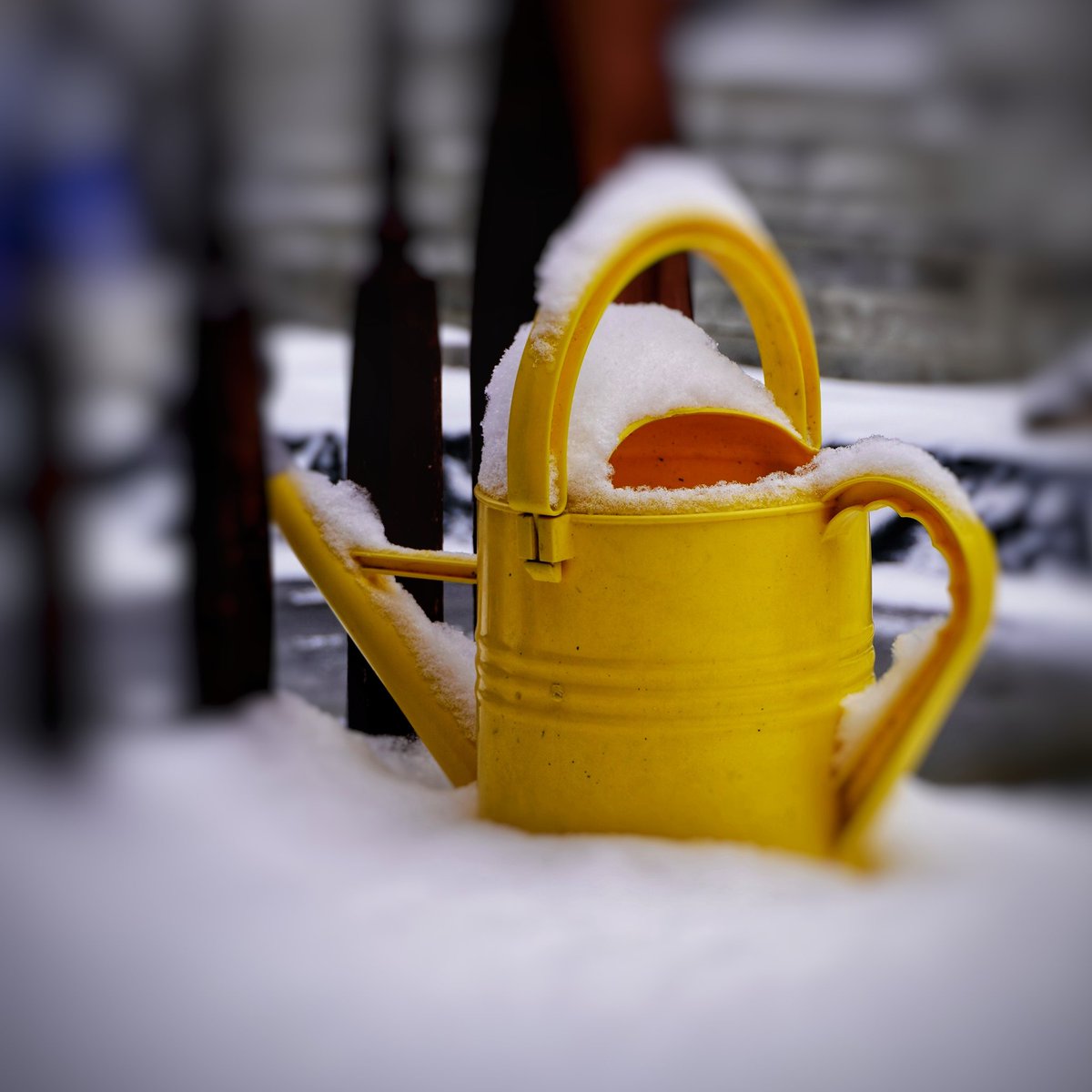 vvvirgovas's tweet photo. Happy New Year!! Last post of 2020 #yellowbucket #DurhamRegion #Durham https://t.co/w7rHMgYRvh