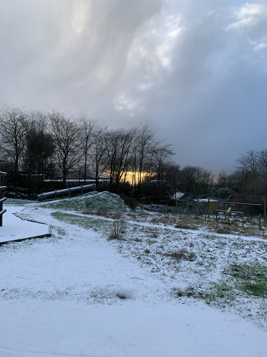 exmoorzoo's tweet photo. ❄️☃️ Here’s a few images from the snow shower we had today☃️❄️

Happy new year and a huge thank you to all of you who have supported and helped us through a strange year. We hope to see you in the new year keep safe and #stayonetapirapart

#livelovelocal #animals #winter #snow https://t.co/Epr6MEuqSz