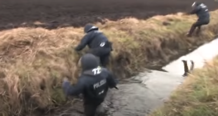 Bei Wildschweinen gehört das Suhlen zum fast täglichen Komfortverhalten. Sie nutzen es zur Wärmeregulation und um sich mit einem Schlammpanzer gegen Stechinsekten zu schützen.