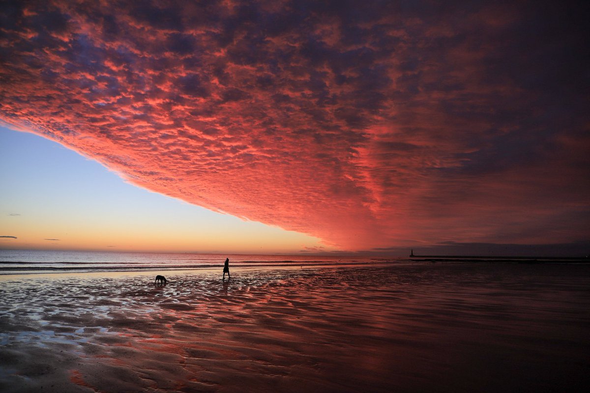 simoncwoodley's tweet image. Looking back... Special sunrises from many in the year 🙂 #HAPPYNEWYEAR2021