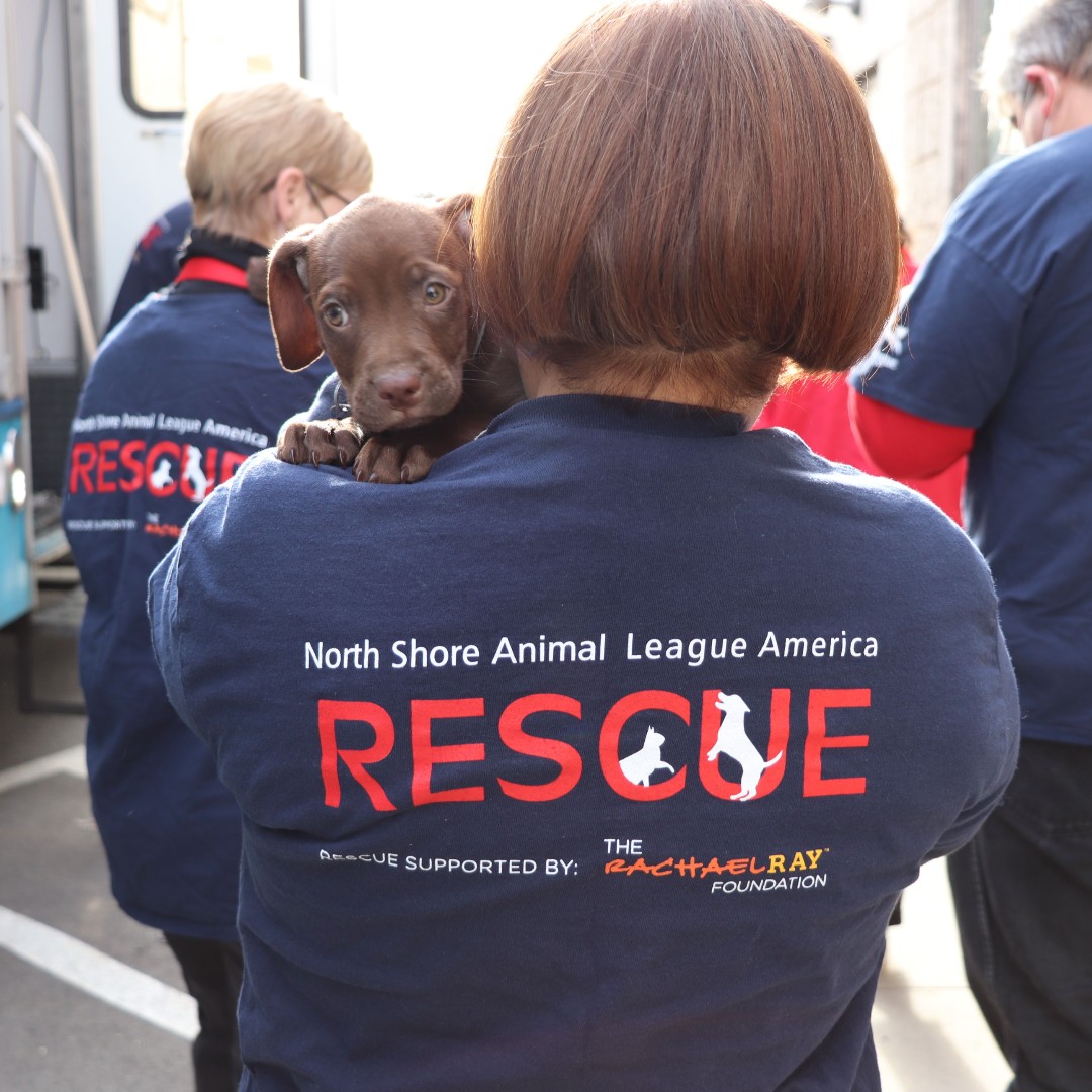 We finished the year strong thanks to the Rachael Ray Foundation who supported our rescue work all year round, including this week’s rescue of over SIXTY animals who will start the new year in loving, responsible homes.  #GetYourRescueOn #RachaelRayFoundation #SavingLives