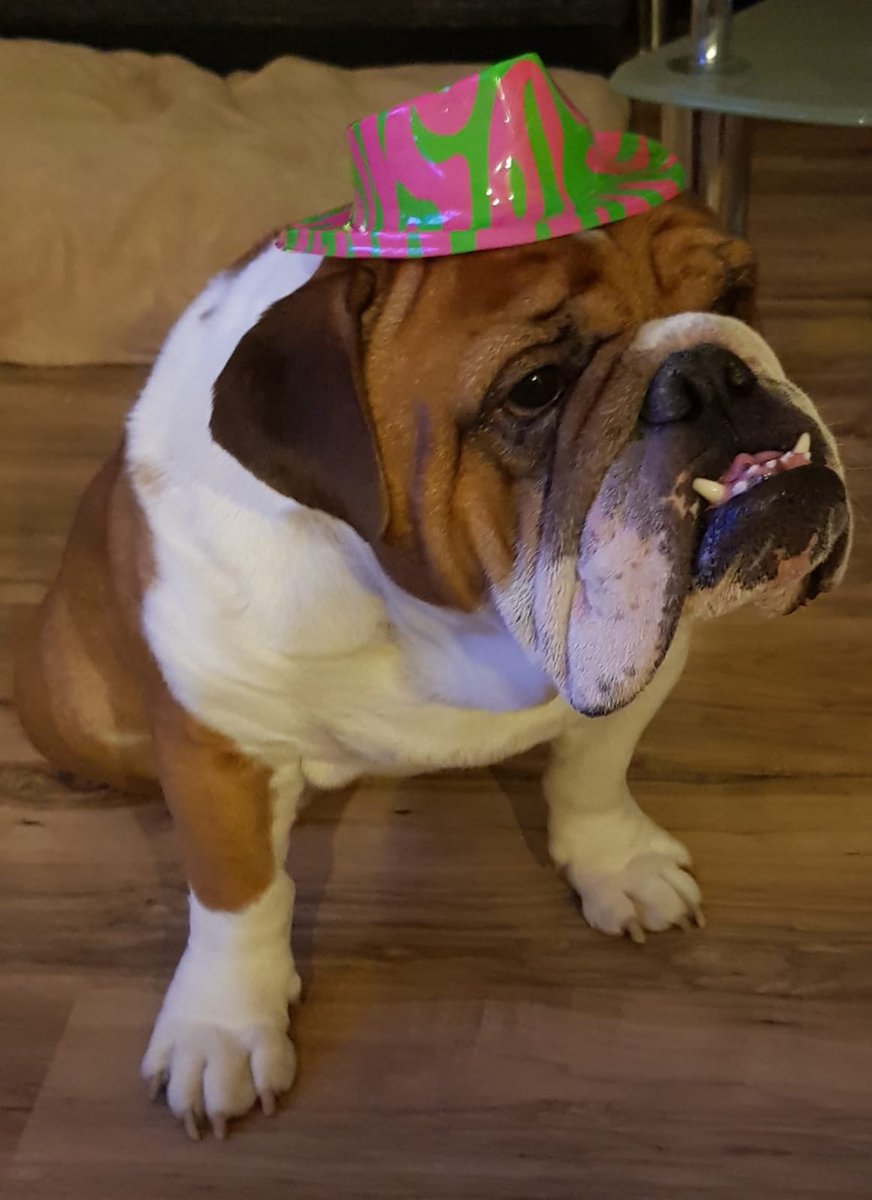 Wir wünschen euch einen guten Rutsch und einen wundervollen Start in das neue Jahr. 🥂🥂🍾🍀 #Silvester2020 #GoodBye2020 #frohesneuesjahr #sylvester2020 #holgerrulestheworld