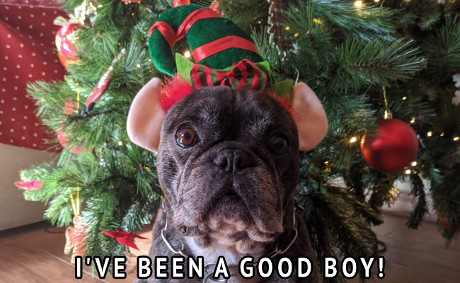 Audiority tweet media