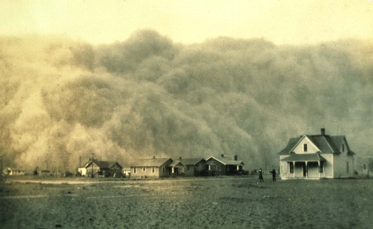 8: Grasslands, especially the drier parts, challenge those who try to make them what they're not. Many feature a histroy of human-induced megadisaster; the Dust Bowl is only the most famous. This makes grasslands great places to learn humility. Also makes them punk rock.