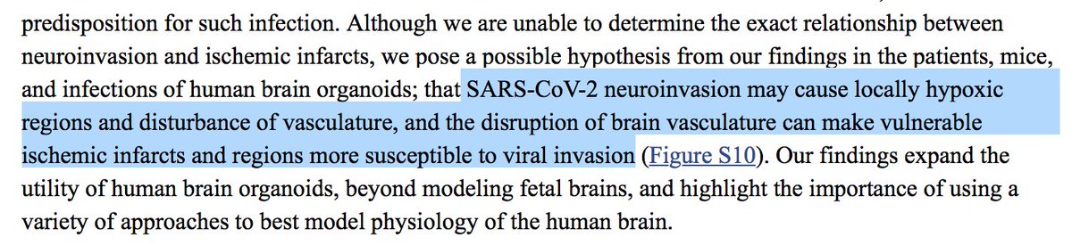 25/ However, the study is consistent with my belief that the neurological symptoms and damage seen in  #Covid are not primarily due to direct viral invasion (although possible) but an aberrant immune response. There was also an interesting hypothesis in the  @YaleIBIO study: