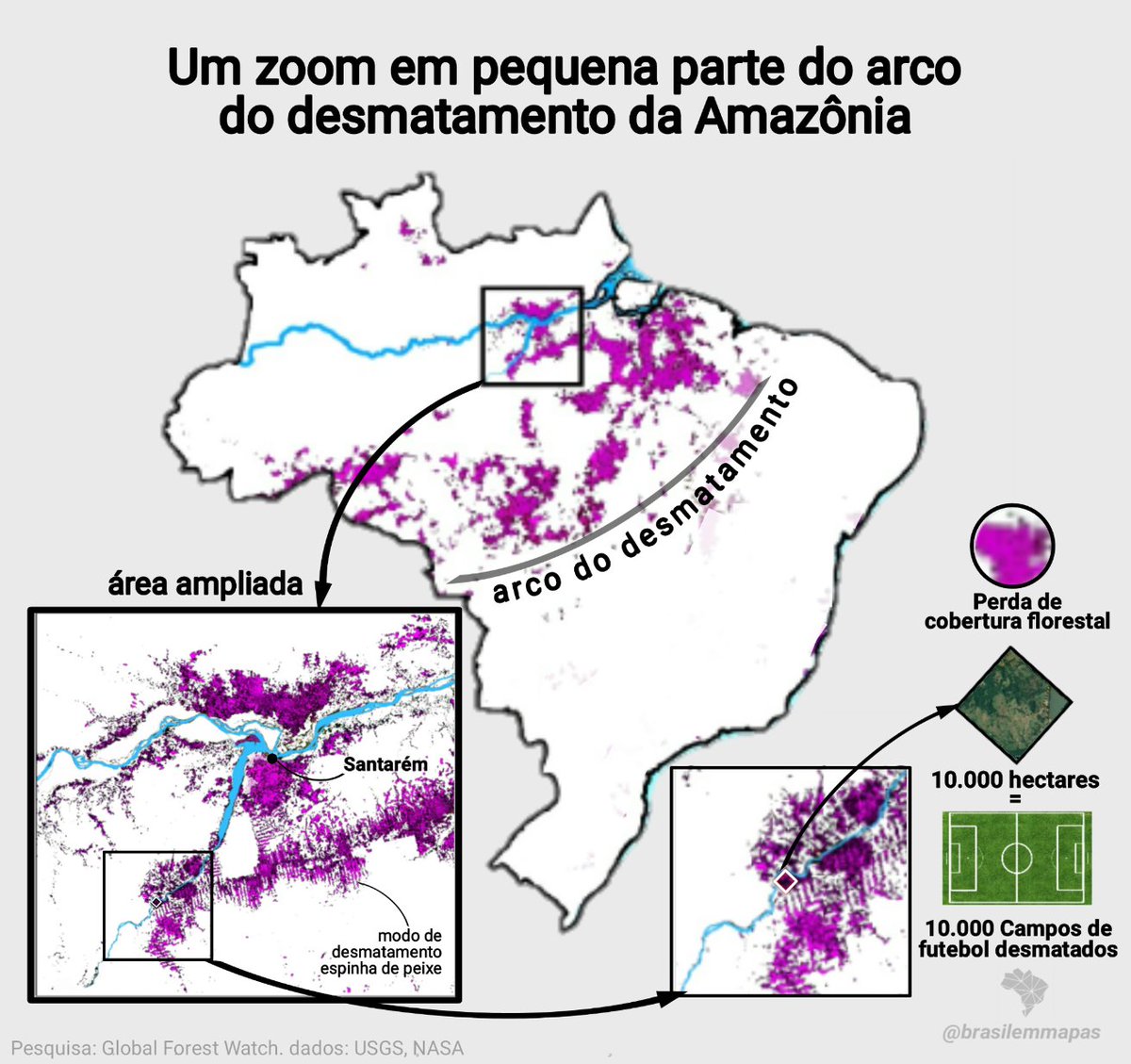 brasilemmapas's tweet photo. O desmatamento na Amazônia em 2020 #desforestation #theamazon https://t.co/PbTdKUslKs