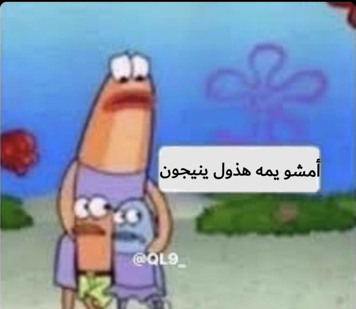 mo_fbi's tweet photo. @g07pbSAiWGkJxOq @aymenhameed1 هذول عراقين مو  ذيلول https://t.co/rb4uhM65dw
