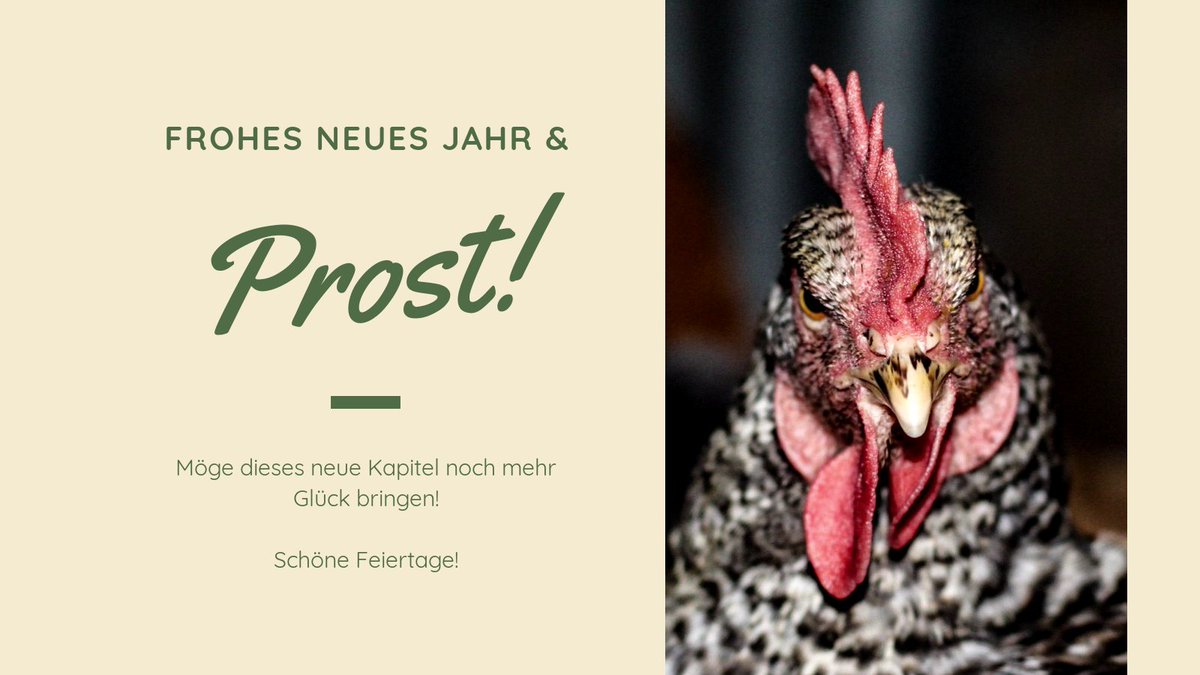 #geflügelfreunde #broiler #chicken #twitch #streamer #Silvester2020 #bier #voll #schnaps #eier #ei #wurstsalat #GoodBye2020 #geier #zu #auf #goldbraun #bärtiger #ente #gans #de #feier #osten #hahn #wurst #zocken #feuer #knall #usw